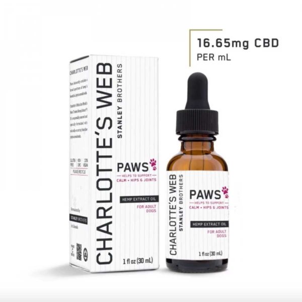 CBD Oil for Dogs – A Complete Guide 2021